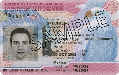 Sample image of an employment authorization document